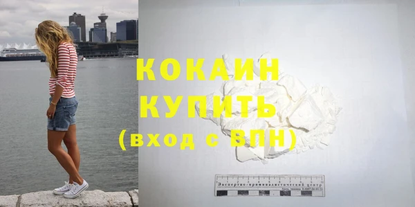 кокс Вяземский