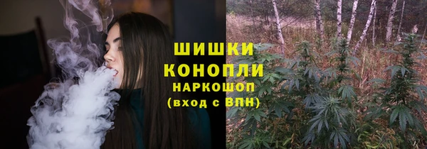 spice Вязьма