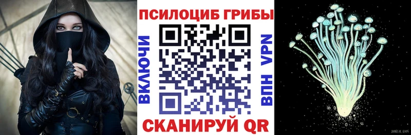 Псилоцибиновые грибы GOLDEN TEACHER  Гуково 